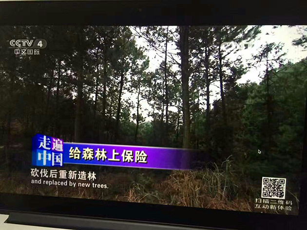 cctv-2.jpg