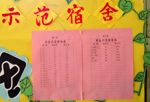 DS-C07043-.jpg