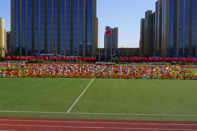 -DSC02936.jpg