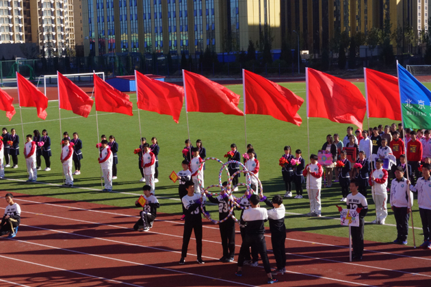 -DSC02828.jpg